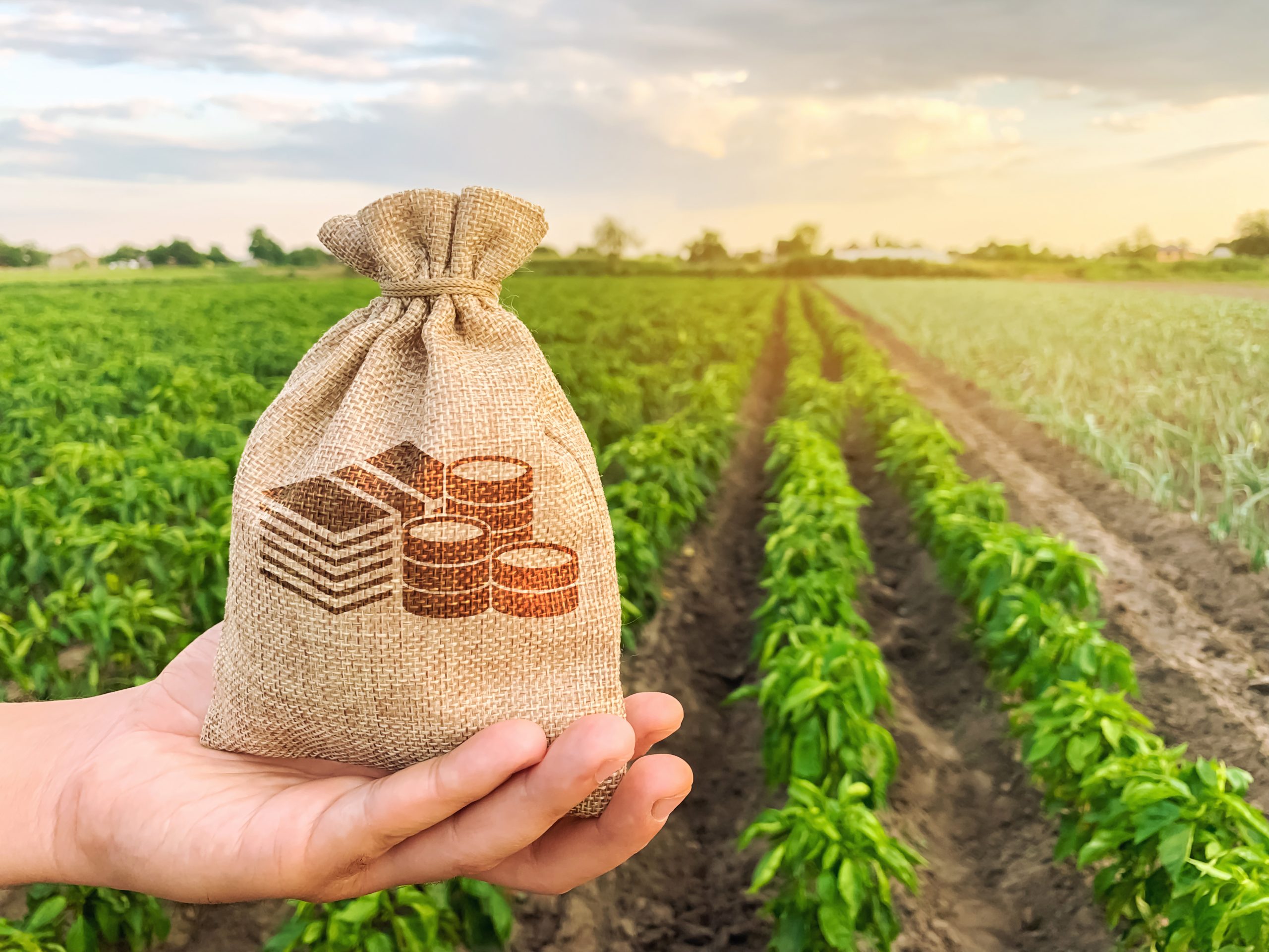 Agro-negócios Petrogás